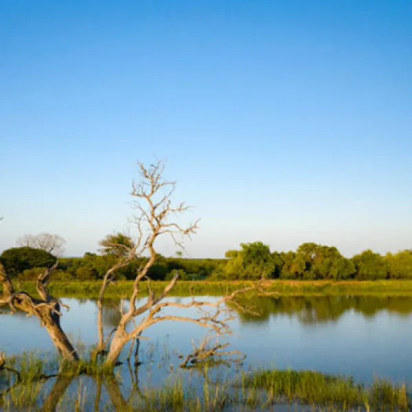 rhino-bush-camp-67kr-zondachsfontein-vaalwater-cbgic