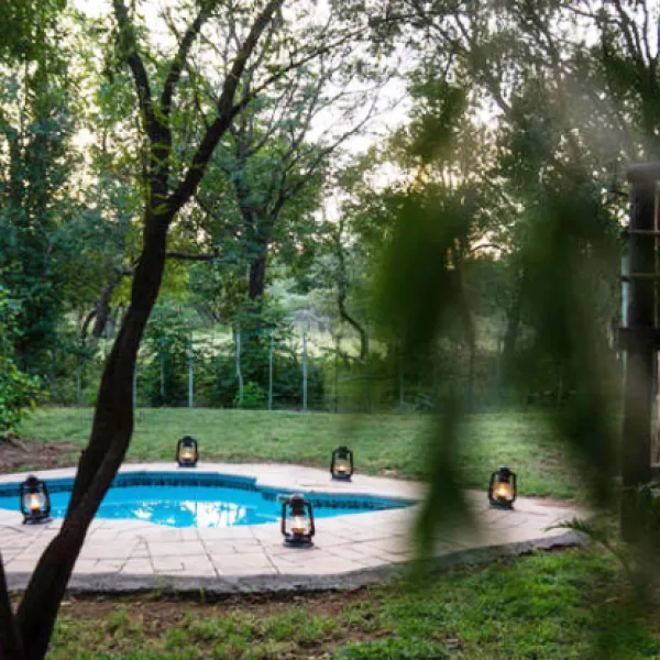 rhino-bush-camp-67kr-zondachsfontein-vaalwater-mytor