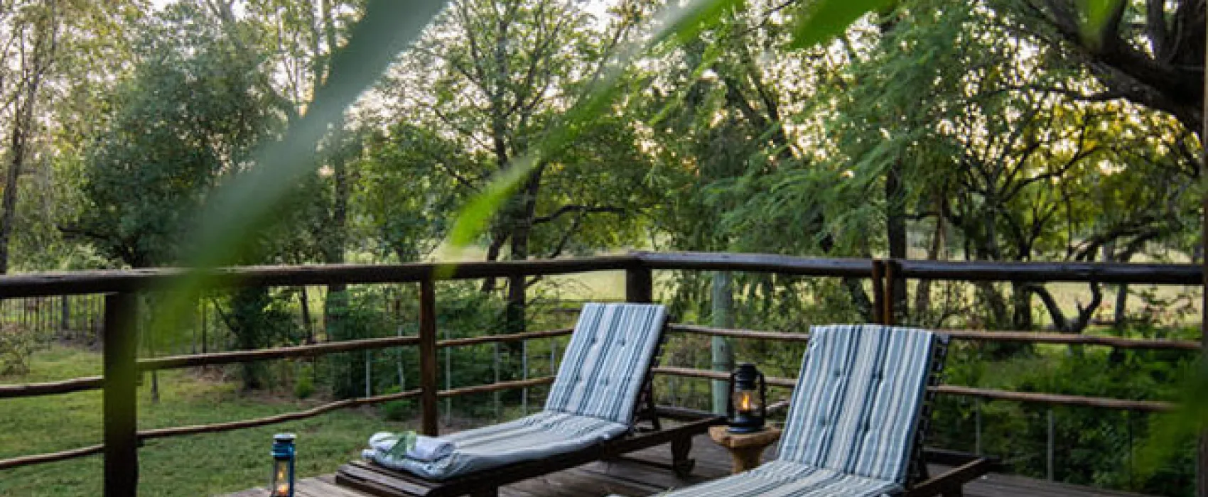 Rhino Bush Camp