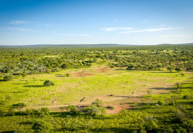 rhino-bush-camp-67kr-zondachsfontein-vaalwater-wzkfr