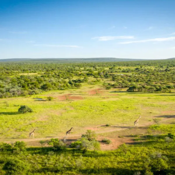 rhino-bush-camp-67kr-zondachsfontein-vaalwater-wzkfr