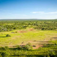 rhino-bush-camp-67kr-zondachsfontein-vaalwater-wzkfr