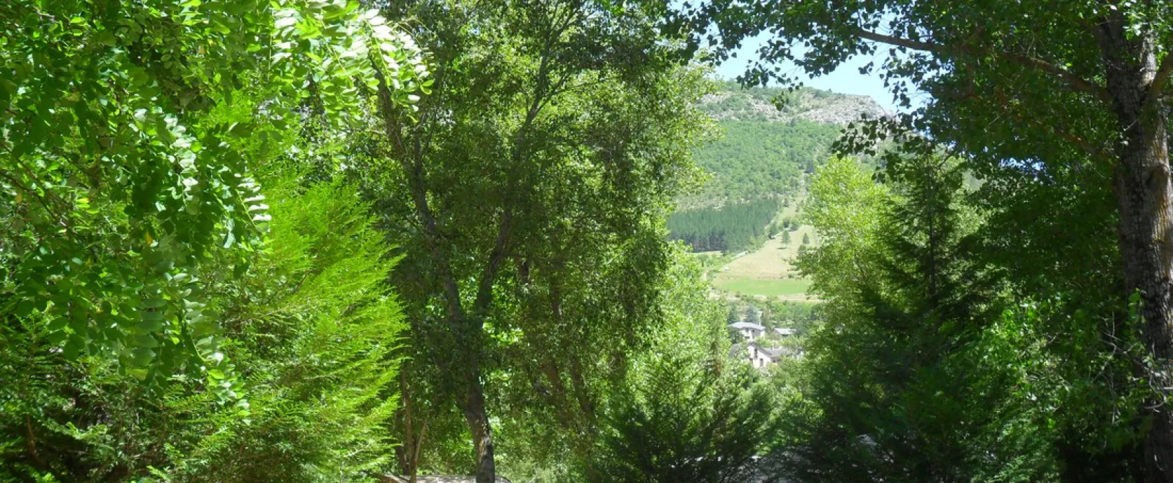 Les Osiers