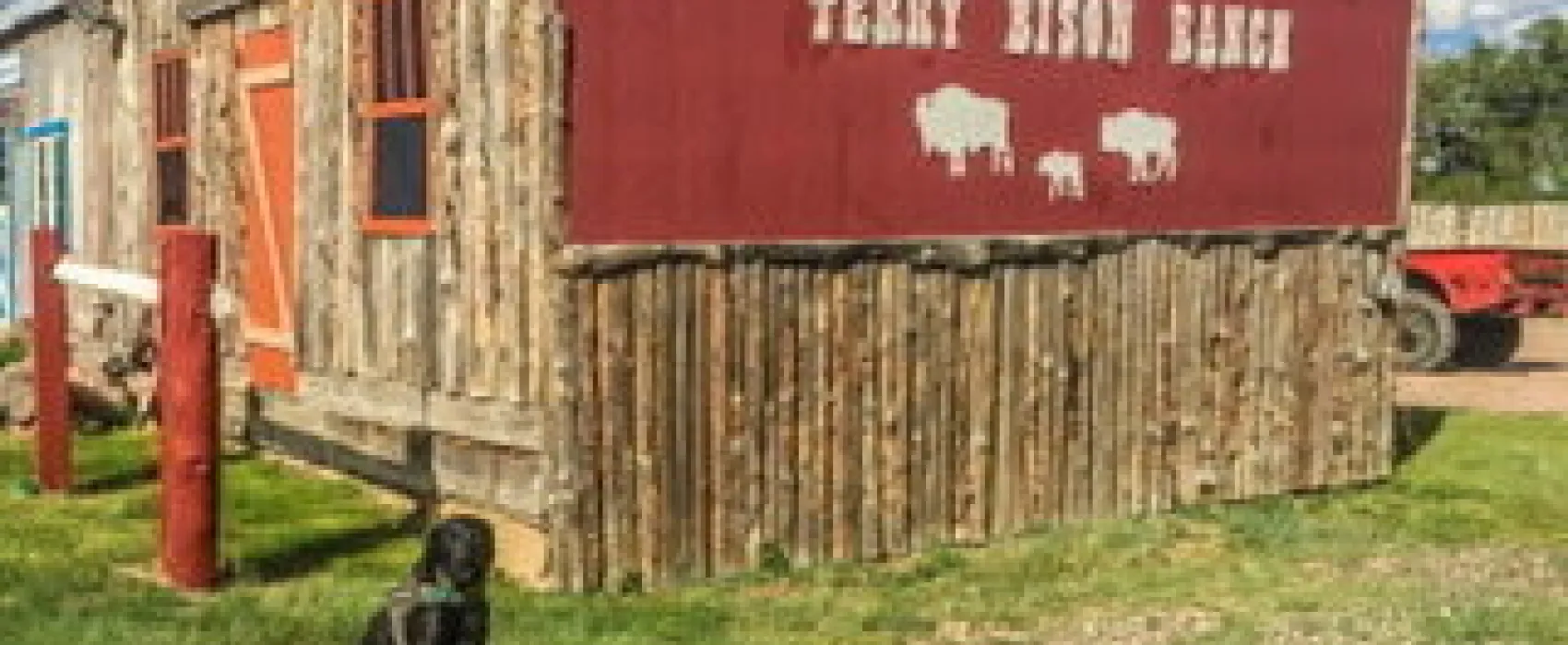 Terry Bison Ranch Resort
