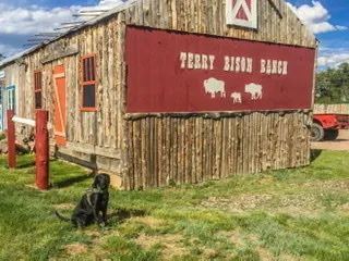 terry-bison-ranch-resort-cheyenne-gw191