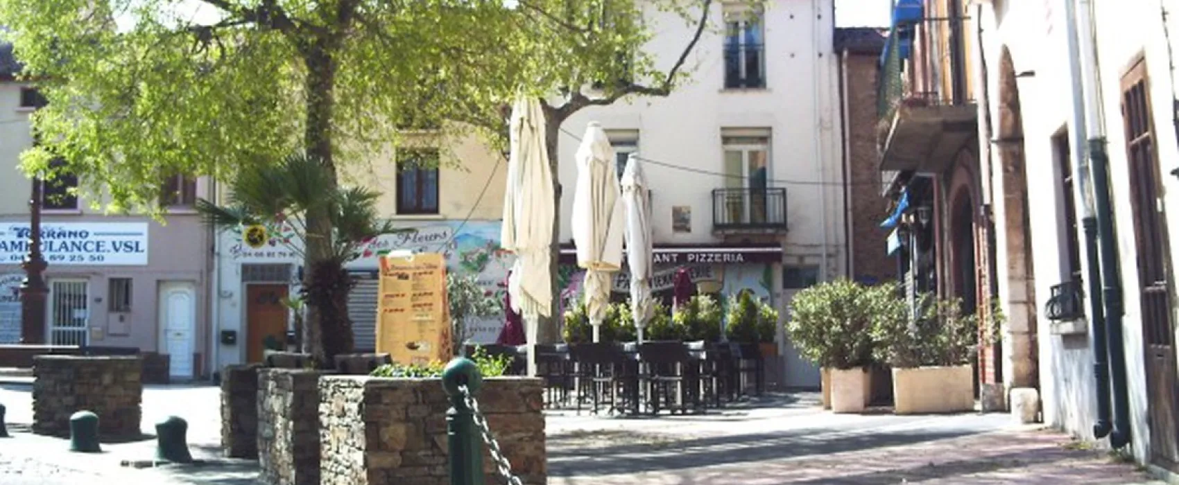 Les Micocouliers