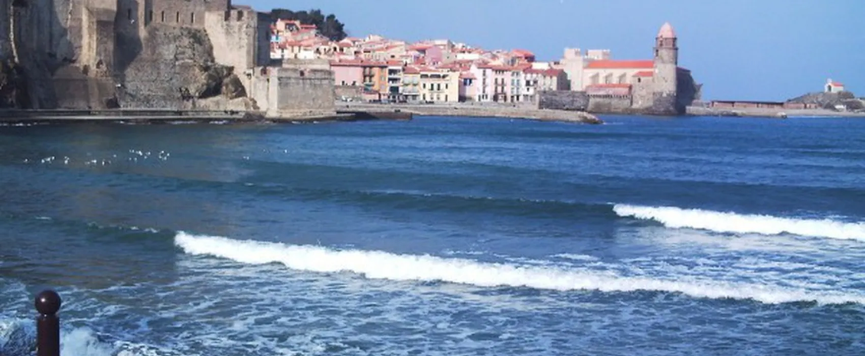 Les Micocouliers