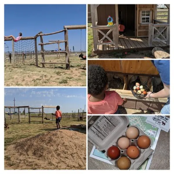 the-hitchin-post-rv-park-and-cabins-plainview-wrfgx