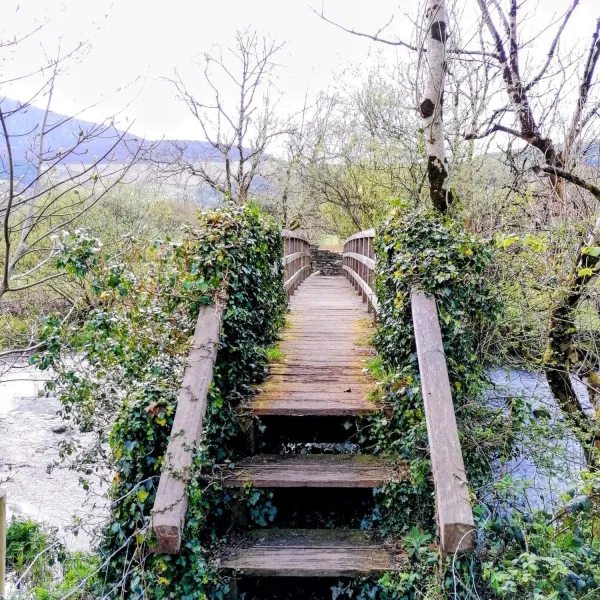 bryn-gloch-caravan-camping-park-caernarfon-bcjyh