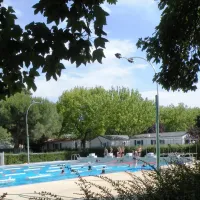 la-mouette-rieuse-courcon-na41v