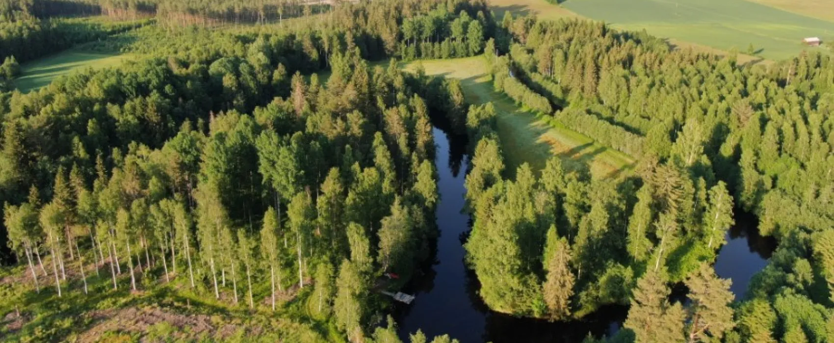 Gullsjövägen