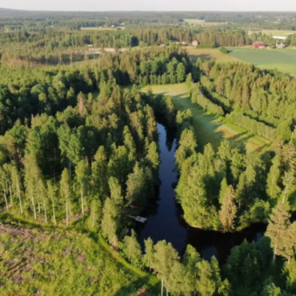 gullsjovagen-jarbo-0boqa