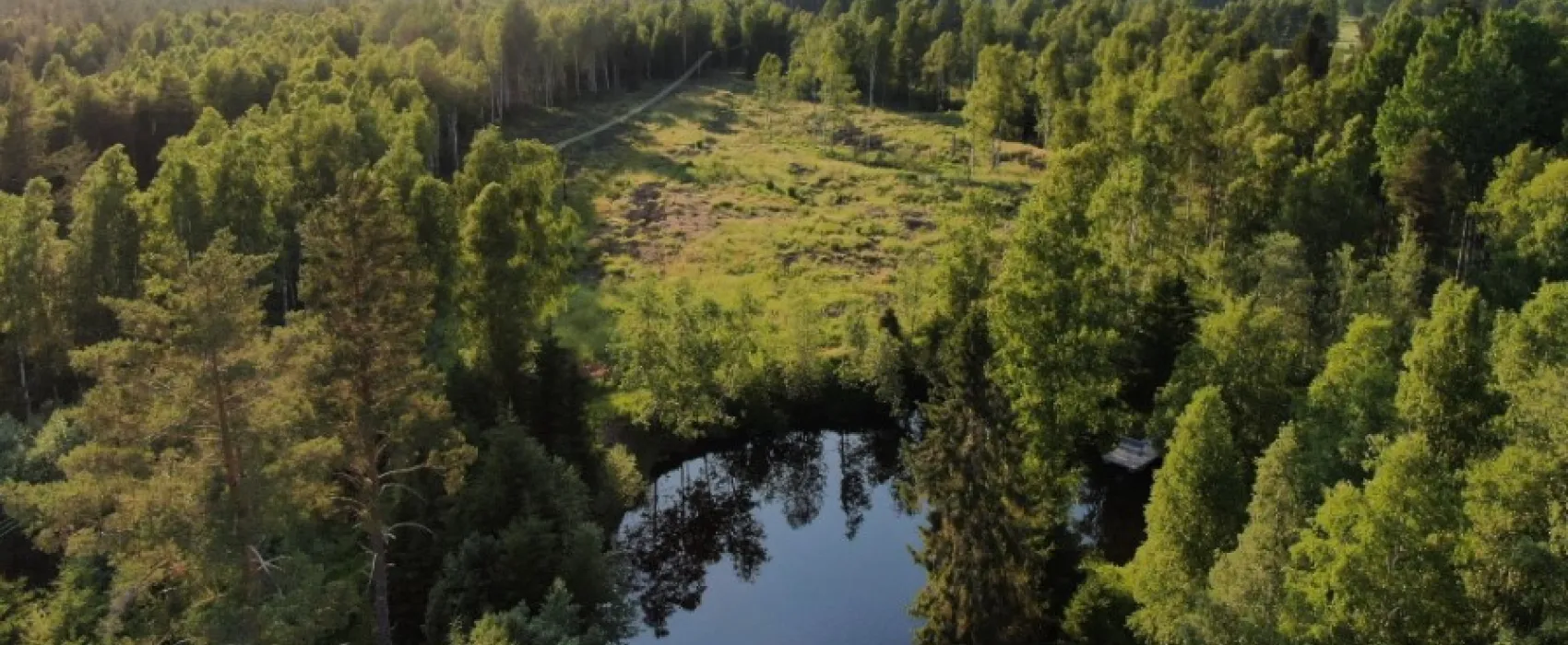 Gullsjövägen