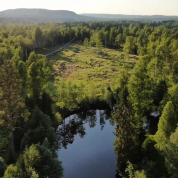 gullsjovagen-jarbo-alqiv