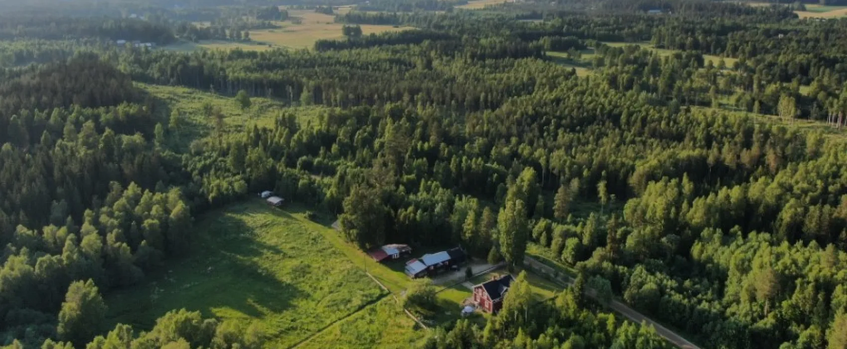 Gullsjövägen