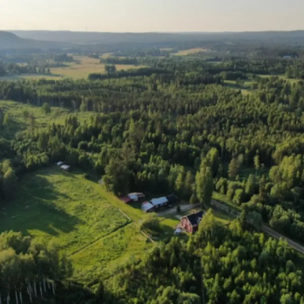 gullsjovagen-jarbo-fwpor