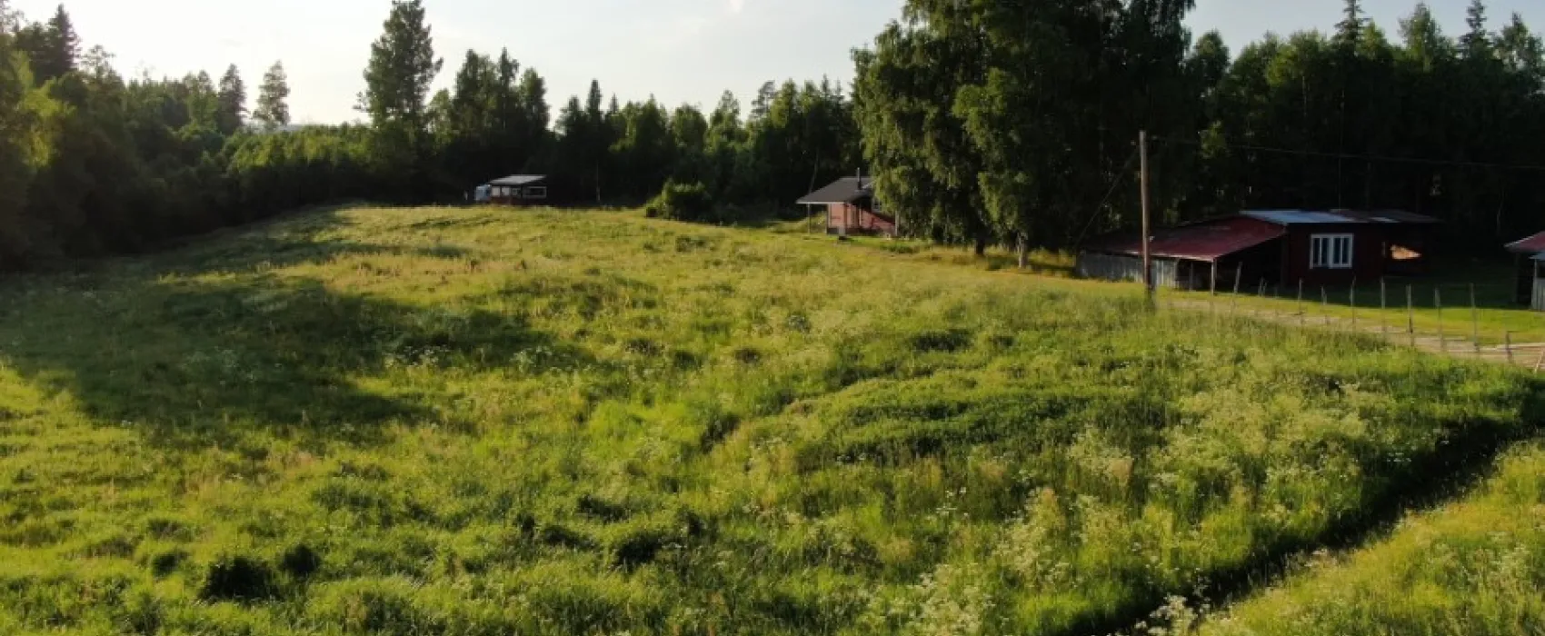 Gullsjövägen