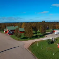 Kiveliön Kala