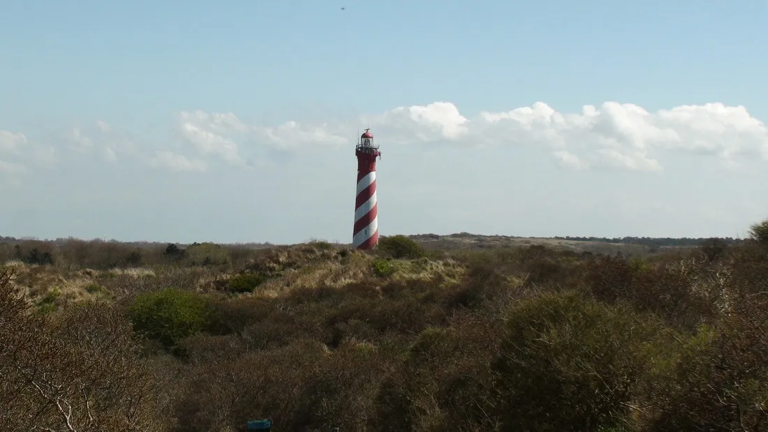 ginsterveld-burgh-haamstede-6qjbx