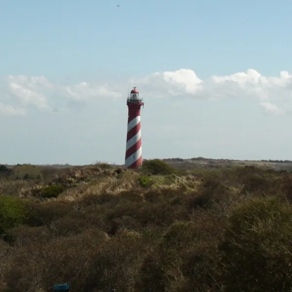 ginsterveld-burgh-haamstede-6qjbx