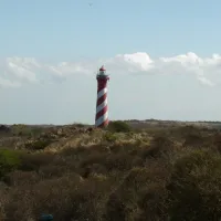 ginsterveld-burgh-haamstede-6qjbx