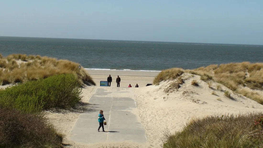 ginsterveld-burgh-haamstede-qjp8x