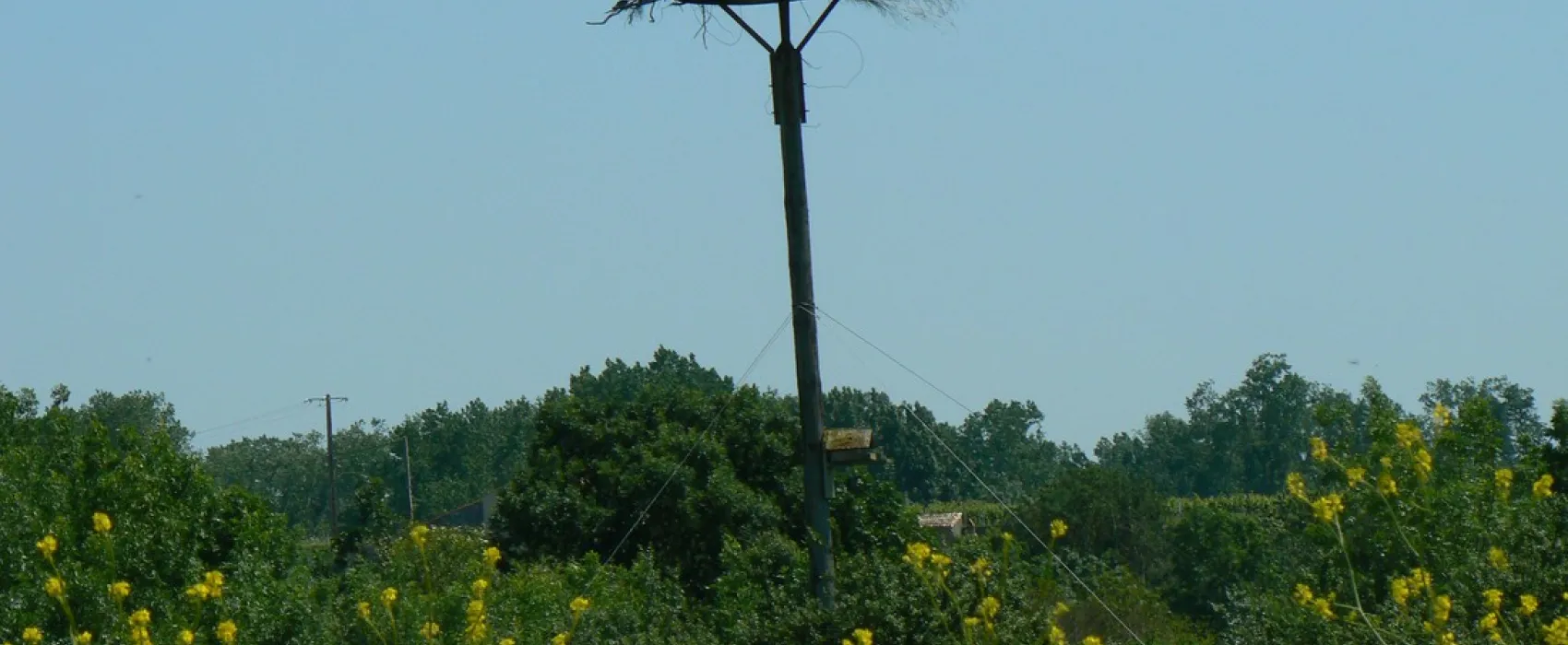 Au Chêne Vert