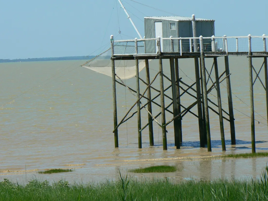 au-chene-vert-saint-bonnet-sur-gironde-jzoj4