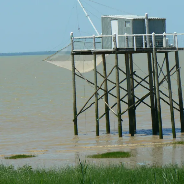 au-chene-vert-saint-bonnet-sur-gironde-jzoj4