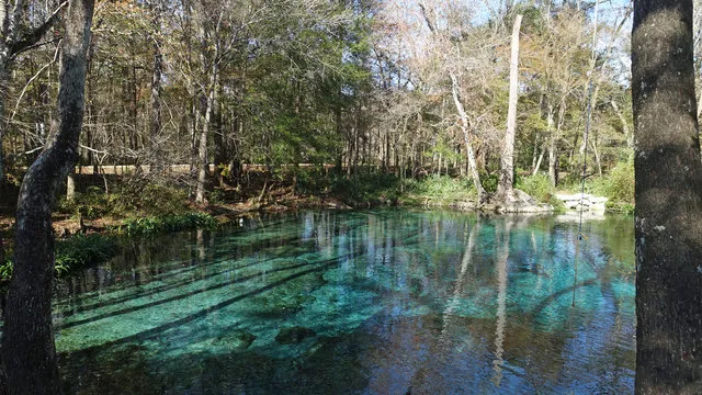ginnie-springs-outdoors-llc-high-springs-1rtur