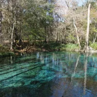 ginnie-springs-outdoors-llc-high-springs-1rtur