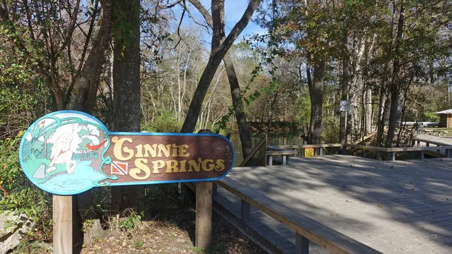 ginnie-springs-outdoors-llc-high-springs-iwish