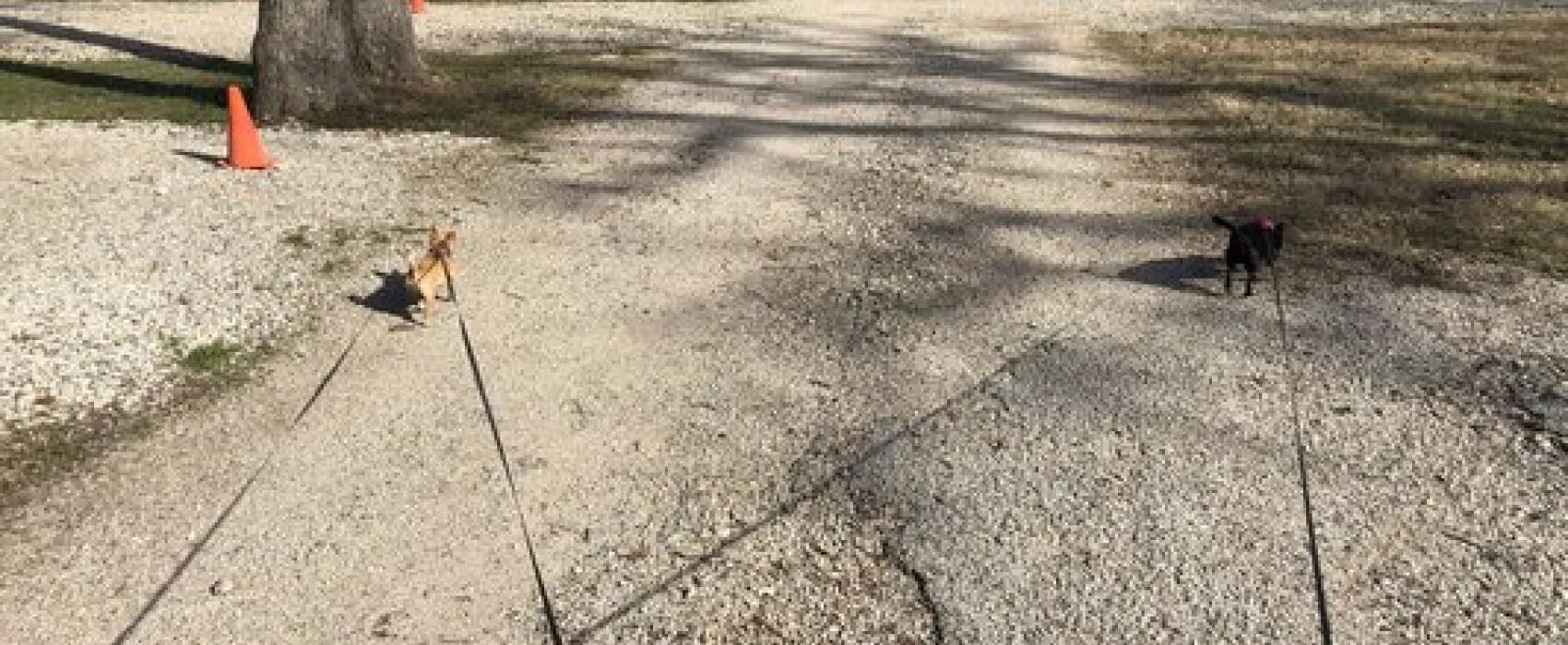 Lone Star RV Park