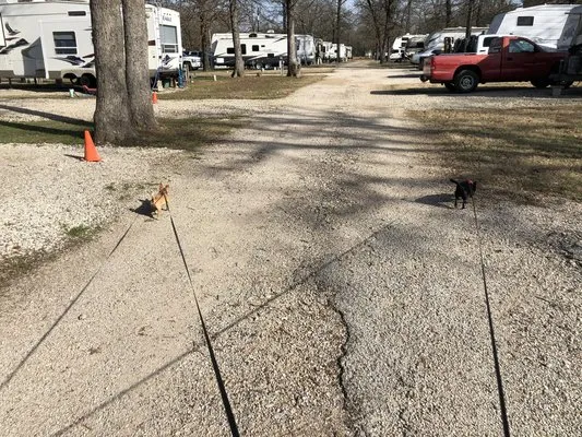 lone-star-rv-park-seven-points-epy1n
