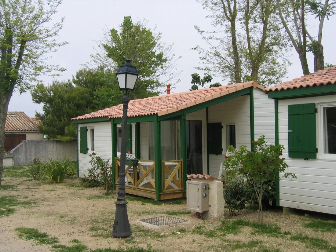 les-gros-joncs-st-georges-doleron-ile-doleron-redel