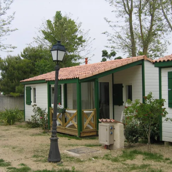 les-gros-joncs-st-georges-doleron-ile-doleron-redel