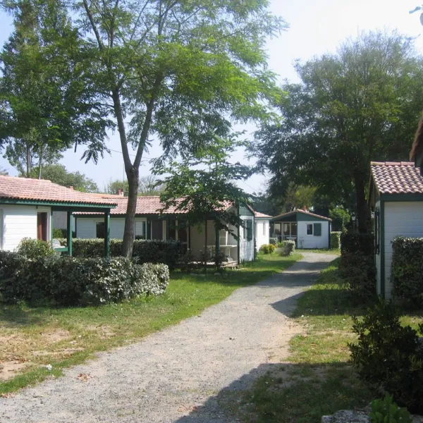 les-gros-joncs-st-georges-doleron-ile-doleron-skyi0