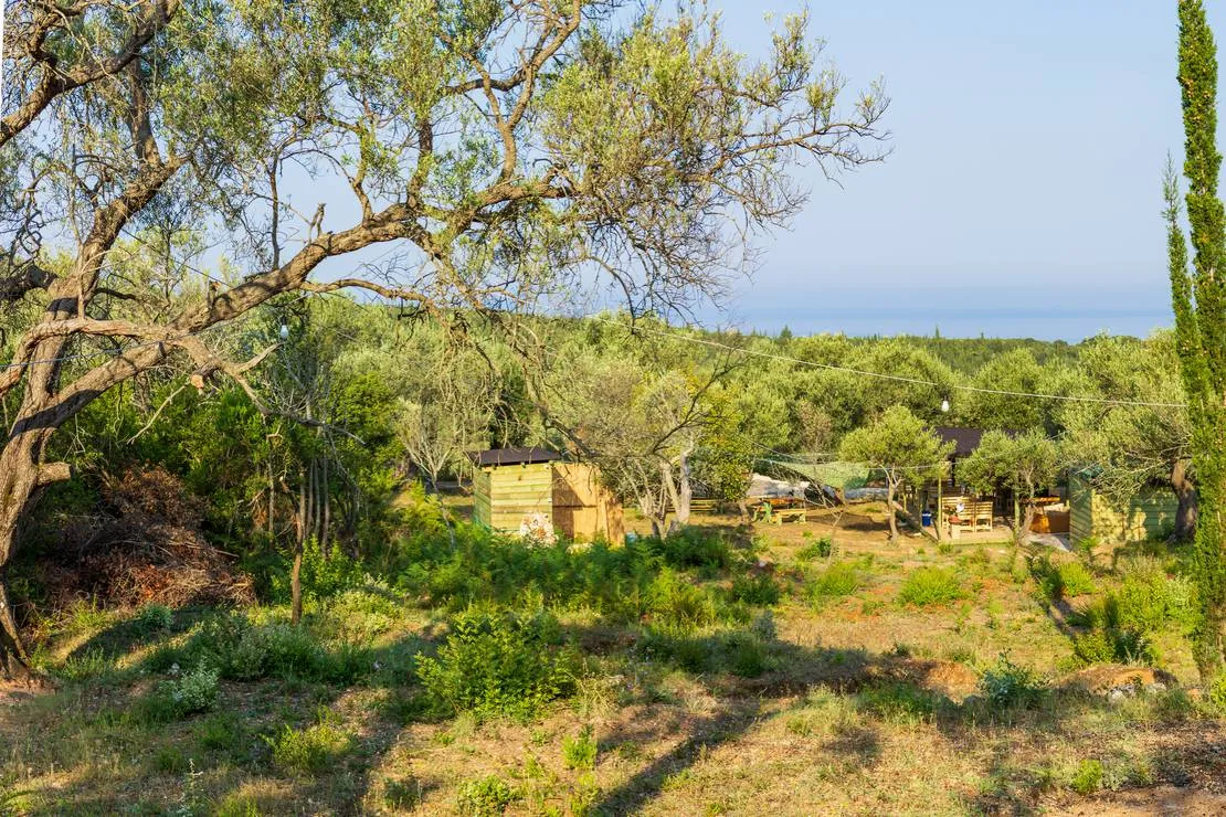 black-goat-gjipe-beach-himara-qgeel