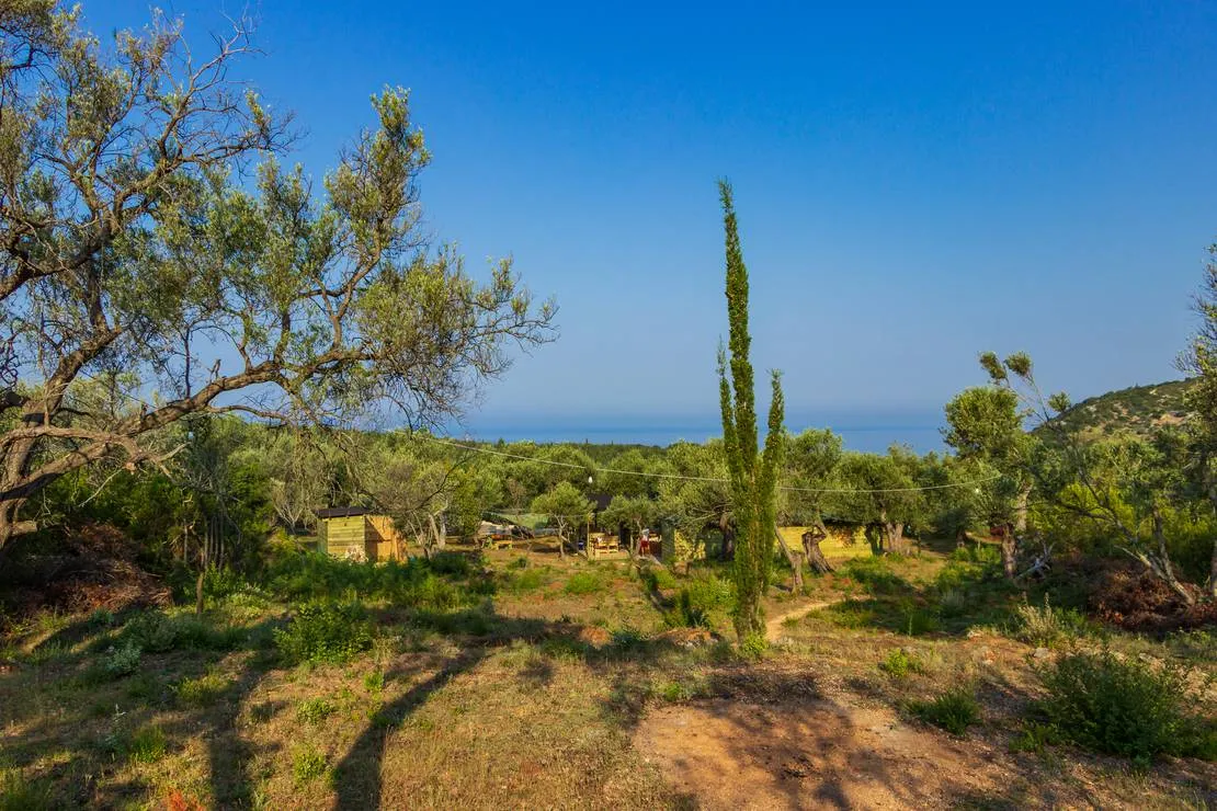 black-goat-gjipe-beach-himara-rorry