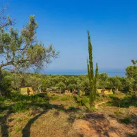 black-goat-gjipe-beach-himara-rorry