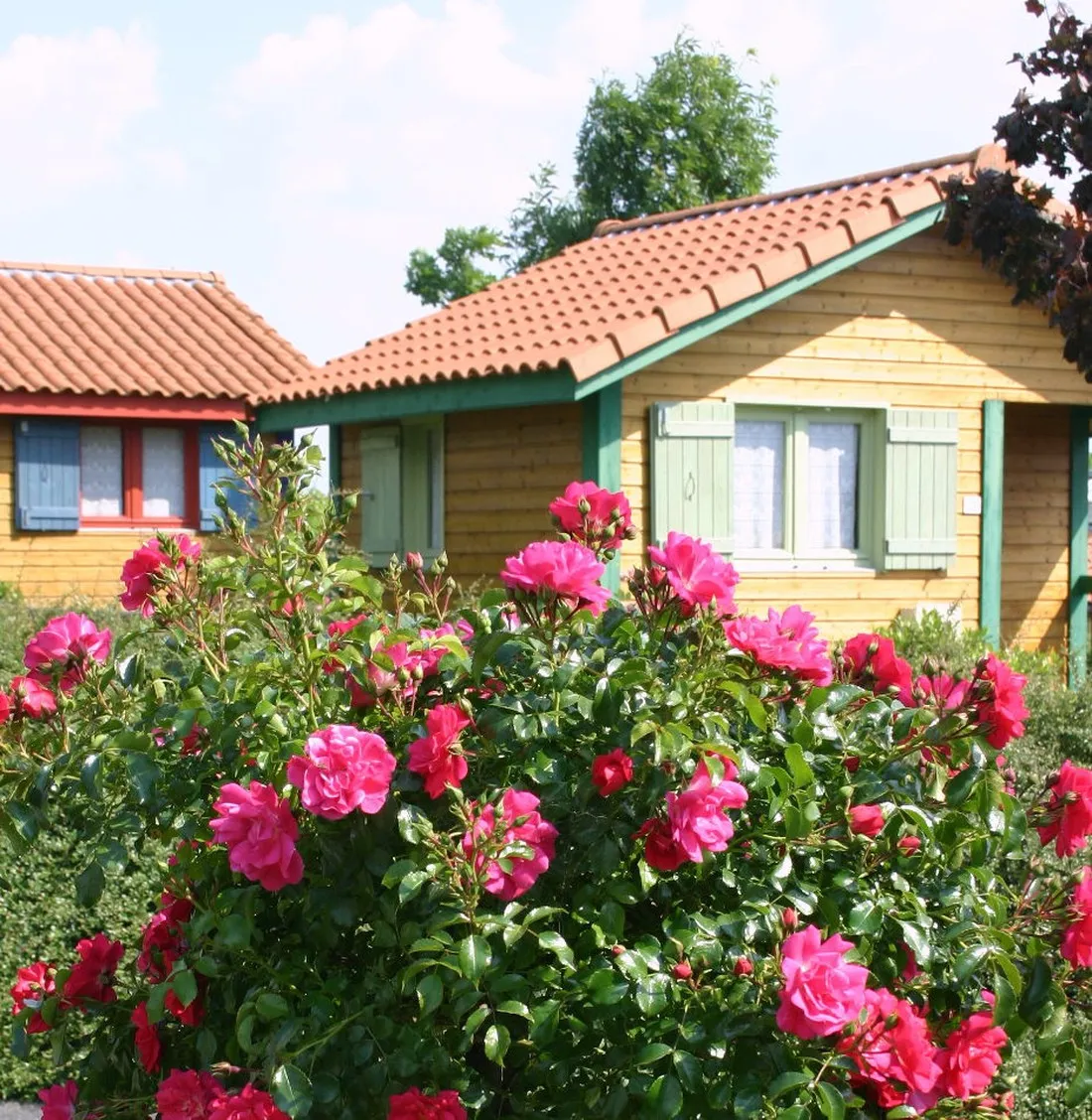 municipal-les-gresillons-st-georges-sur-layon-bhyn0