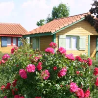 municipal-les-gresillons-st-georges-sur-layon-bhyn0