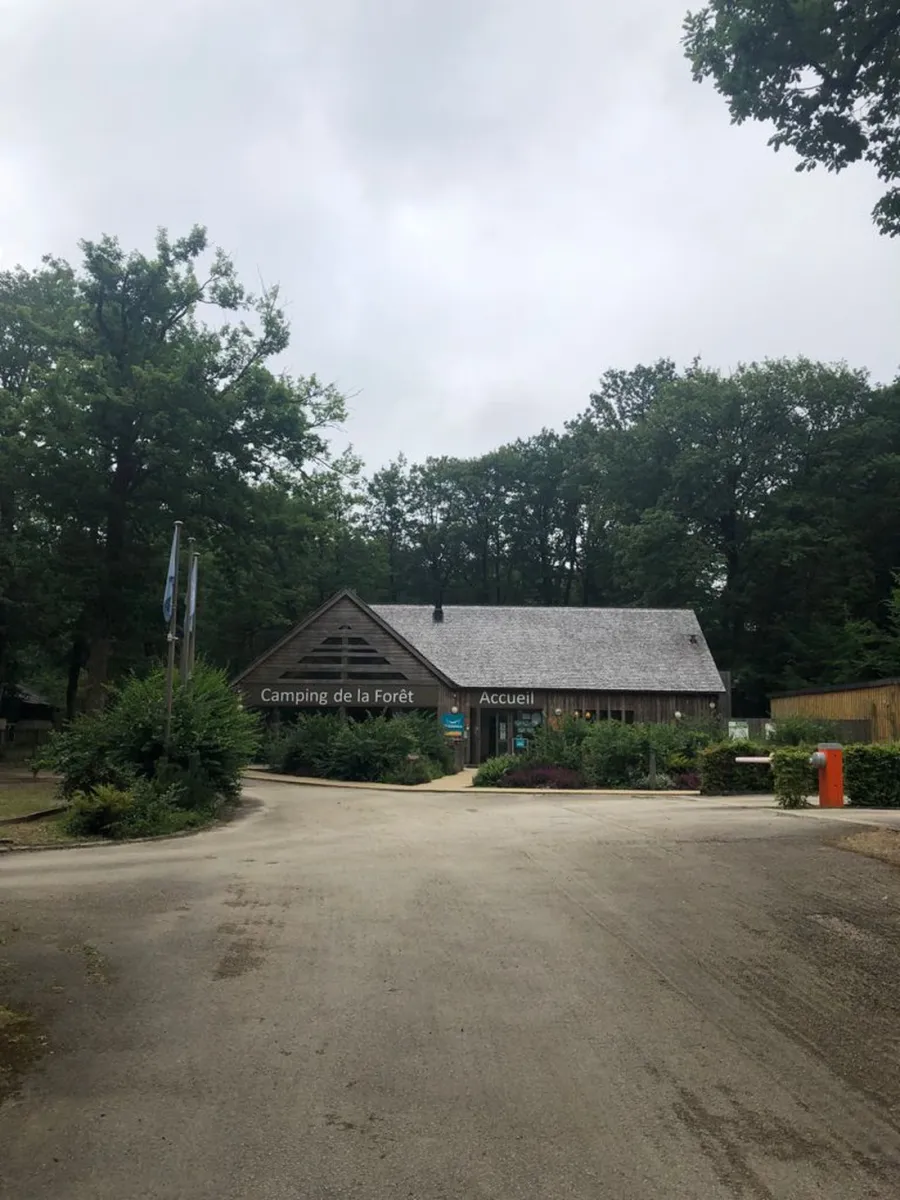 la-foret-sille-le-guillaume-sarthe-9fplj