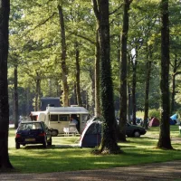 La Foret