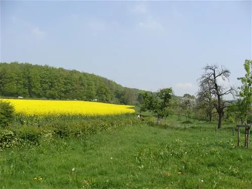 rozenhof-epen-gjfzf