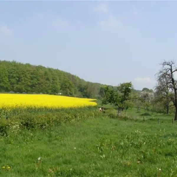 rozenhof-epen-gjfzf