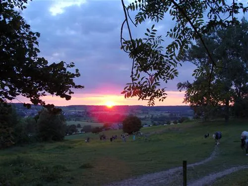 rozenhof-epen-tktja