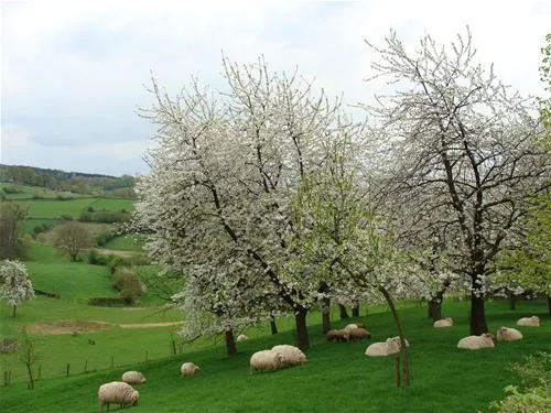 rozenhof-epen-yez09