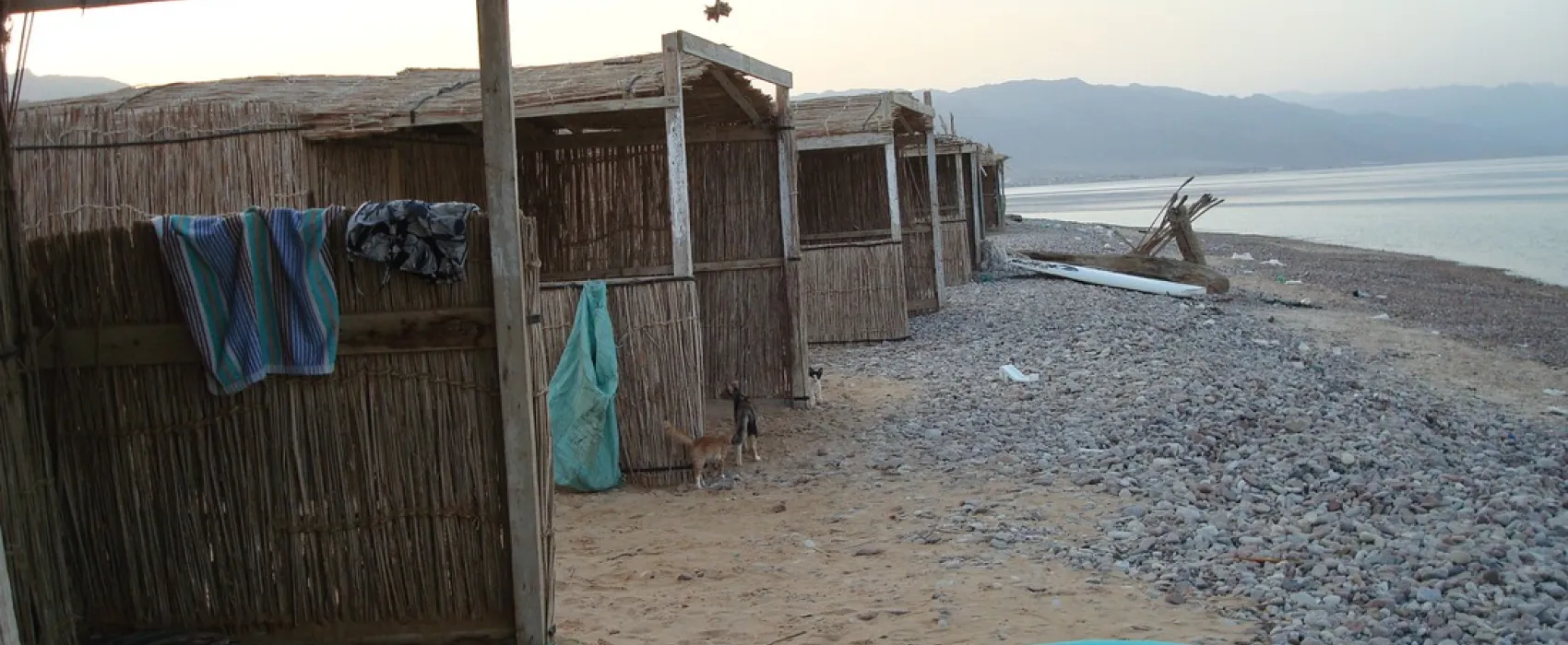 Mousa Camp