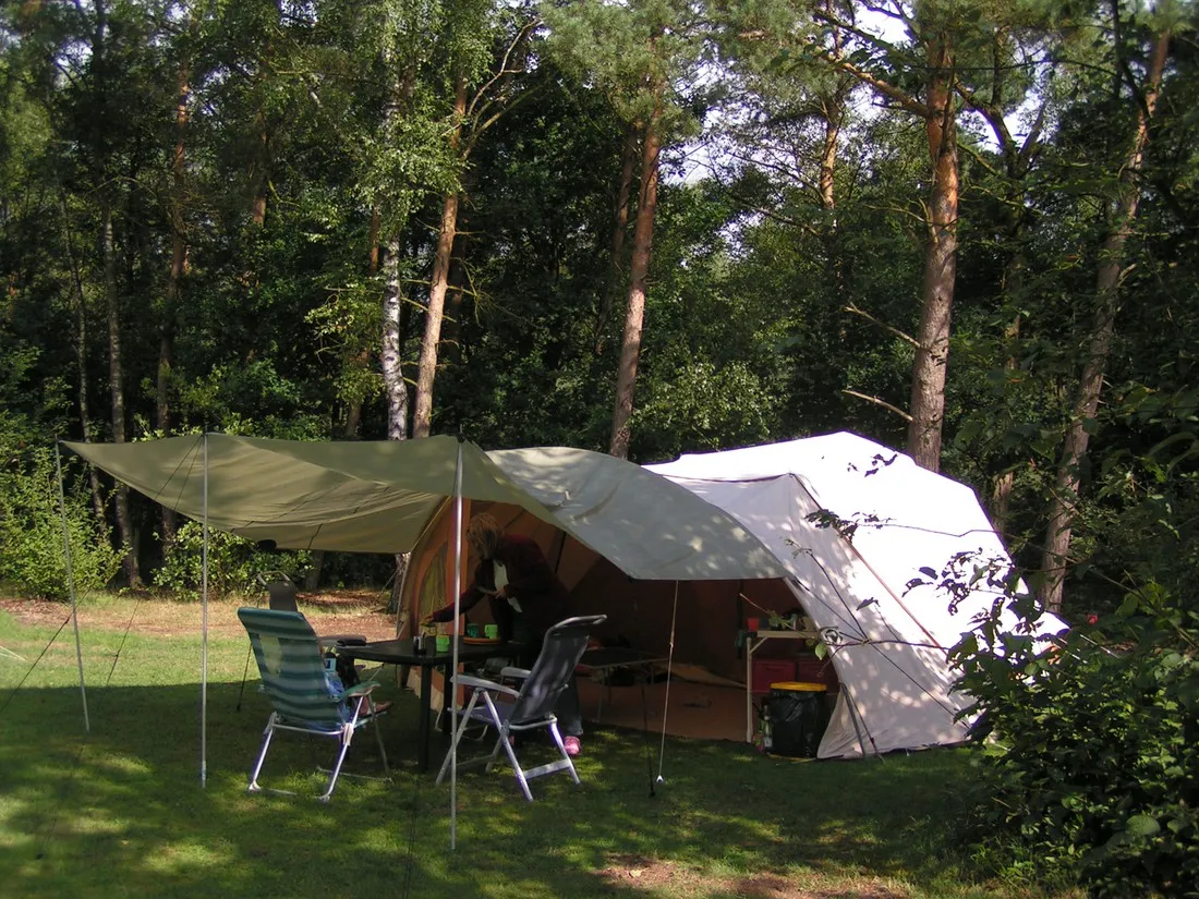 de-harskamperdennen-kootwijk-7z5i7